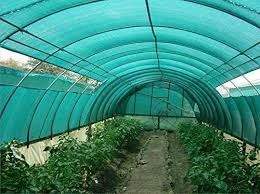 GREEN SHADE NET 1X 50MTR